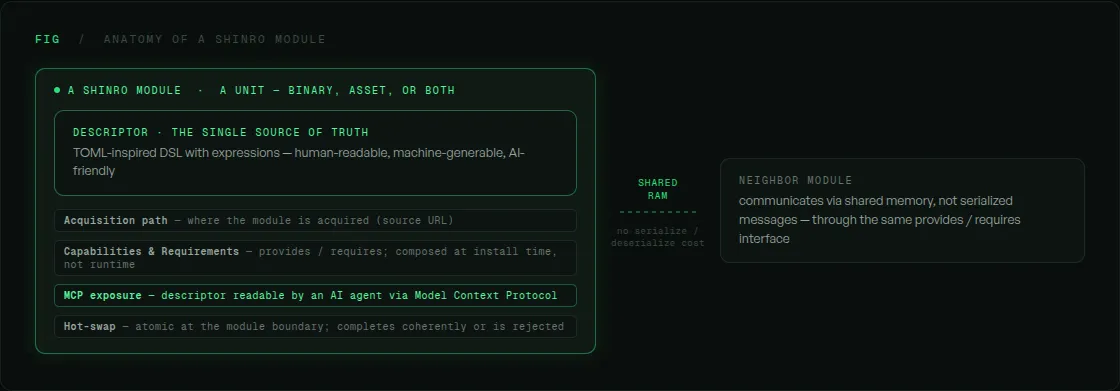 Anatomy of a Shinro module: descriptor, acquisition path, capabilities and requirements interface, MCP exposure, hot-swap mechanism, and shared-RAM IPC with neighbor modules.